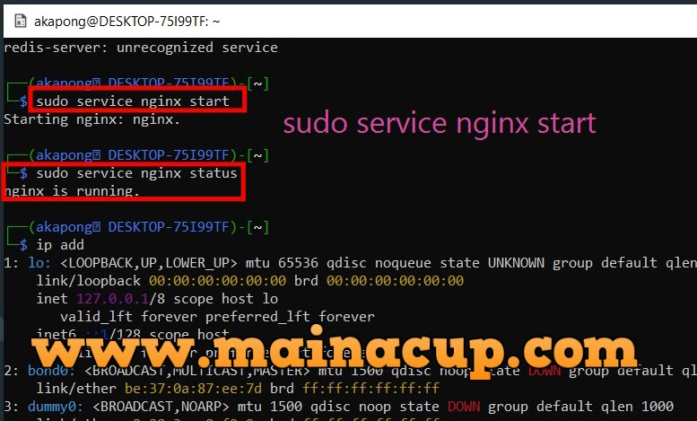 ติดตั้ง Nginx บน Kali Linux ด้วย WSL2 Windows10