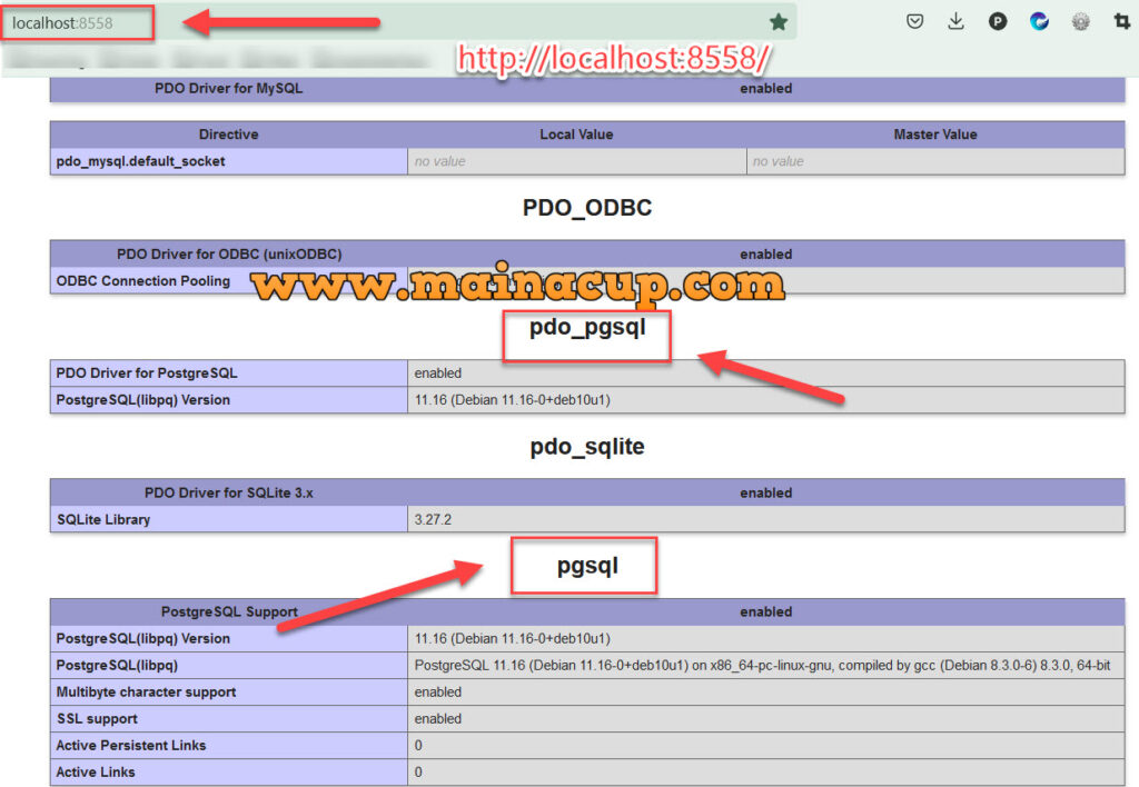การติดตั้ง PostgreSQL Extension ด้วย Docker File เพื่อเชื่อมต่อกับ PHP