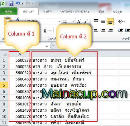 การ import csv to phpmyadmin mysql ภาษาไทย