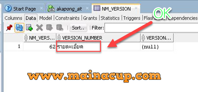 วิธีตั้งค่าให้ Insert ข้อมูลภาษาไทยใน SQL Developer Oracle 11g