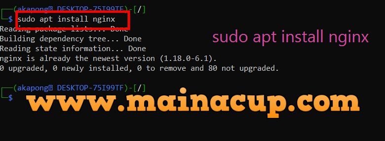 ติดตั้ง Nginx บน Kali Linux ด้วย WSL2 Windows10