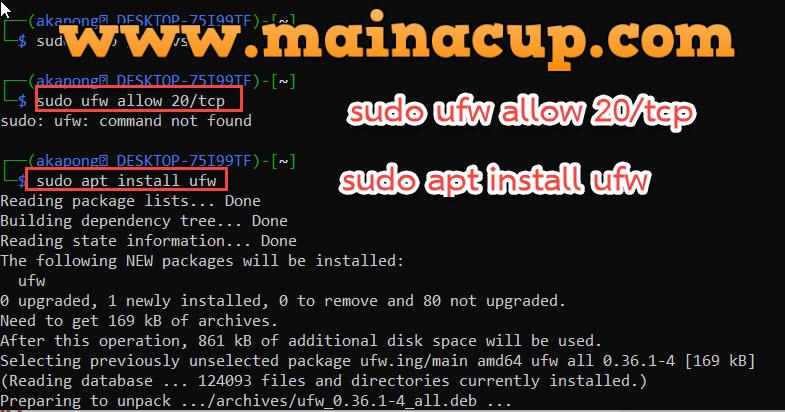 ติดตั้ง vsfptd บน Kali Linux ด้วย WSL2 Windows10