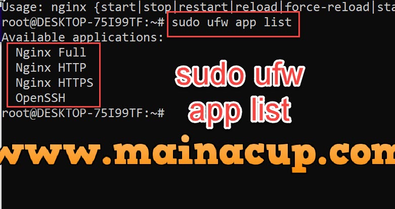 ติดตั้ง Nginx บน Ubuntu 20 ด้วย WSL2 Windows10