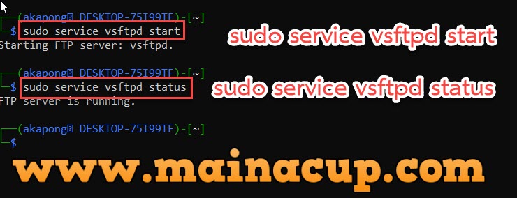 ติดตั้ง vsfptd บน Kali Linux ด้วย WSL2 Windows10