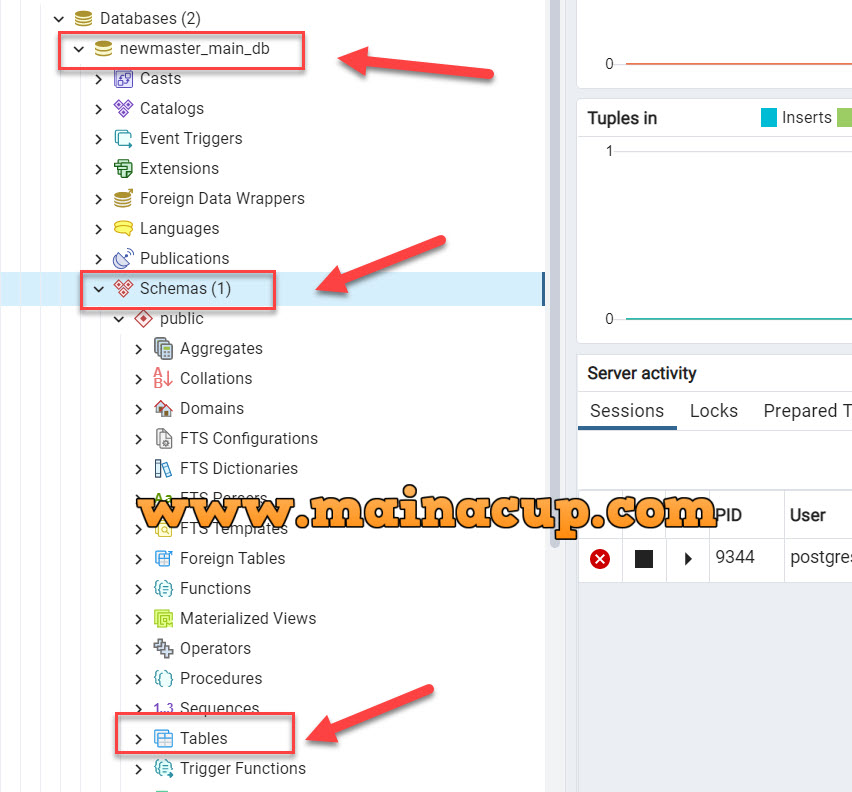 การสร้าง New User , New Database , Create Tables PostgreSQL ด้วย Pgadmin4